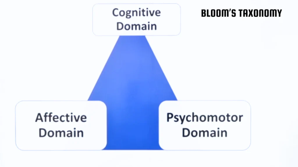 ctet-cdp-mcq