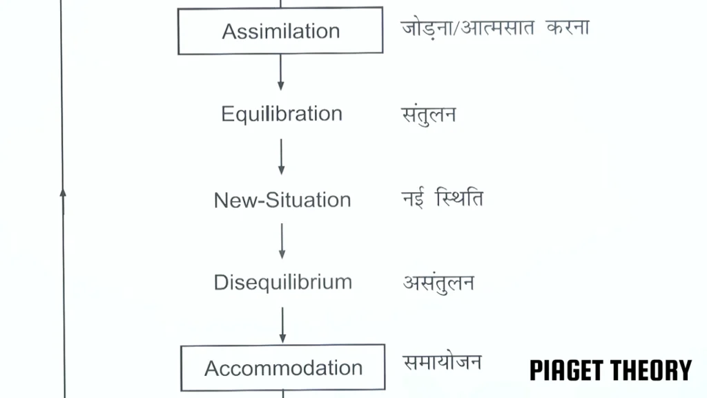 ctet-cdp-mcq